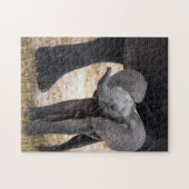 Dierlijke puzzels Elephant Pho (Horizontaal)