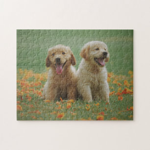 Dierlijke puzzels Pic Cute Sad Puppy Pho