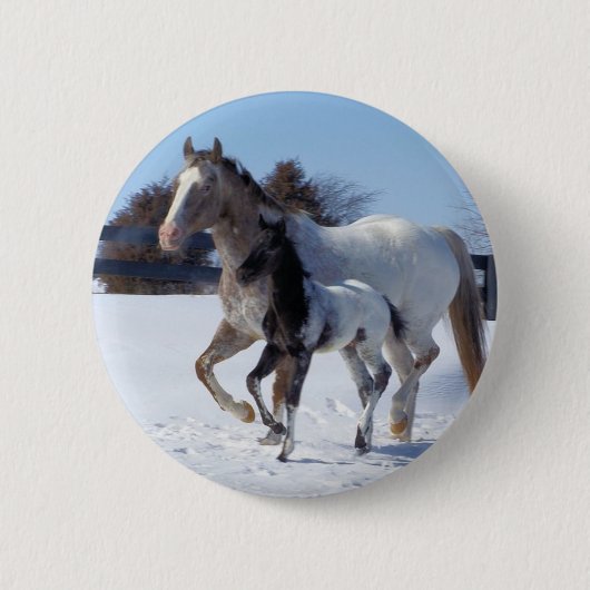 Dierpaarden Wintersneeuw Vredesliefhebber Ronde Button 5,7 Cm (Voorkant)