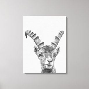 Dierportret van zwarte en witte capricorn canvas afdruk