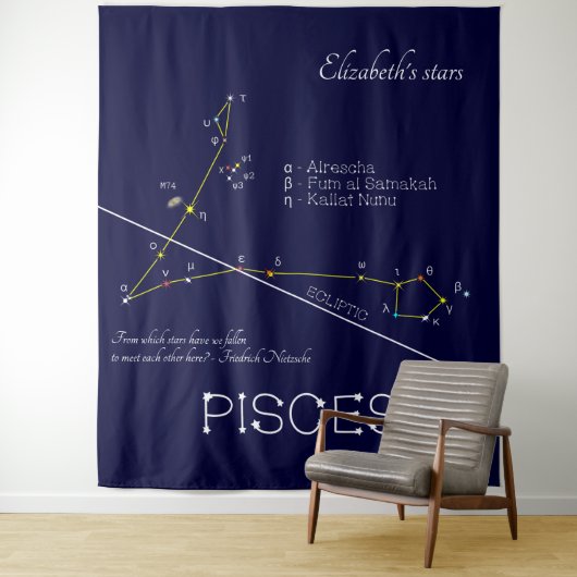 Dierriemconstellatie Vissen Wandkleed (In situ)