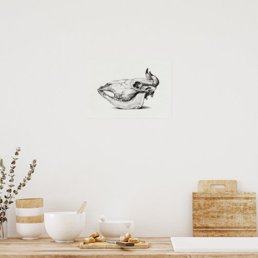  dierschedel poster (Keuken)