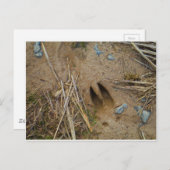 dierspoor briefkaart (Voorkant / Achterkant)