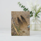 dierspoor briefkaart (Staand voorkant)