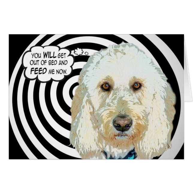 Diervoeders Meee! (Voorkant Horizontaal)