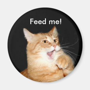 Diervoeders voor kattenmagneten magneet