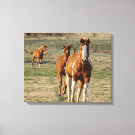 Diervoedertijd Canvas Afdruk (Voorkant)