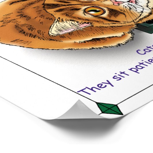 Diervoeding me Cat Poster (Hoek)