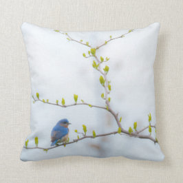 Diervogel-oostelijke blauwvogel kussen