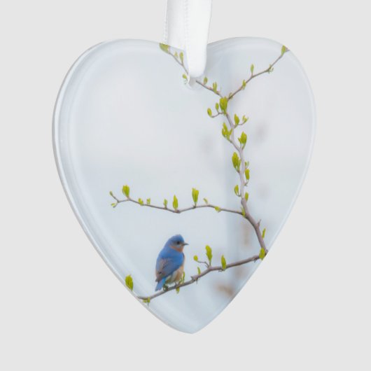 Diervogel-oostelijke blauwvogel ornament (voorkant)