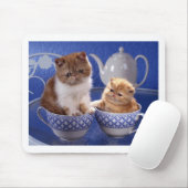 diervriendelijkheid muismat (Met muis)