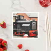 DIESELTREIN SERVET (Insitu)