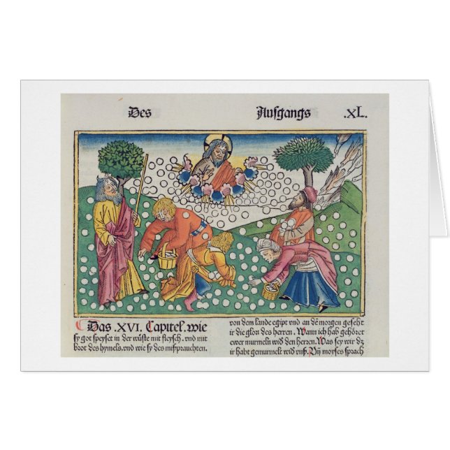 Dieu 13-22 de l'exode 16 fournit les cailles et la (Devant horizontal)