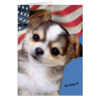 Dieu bénisse l'Amérique