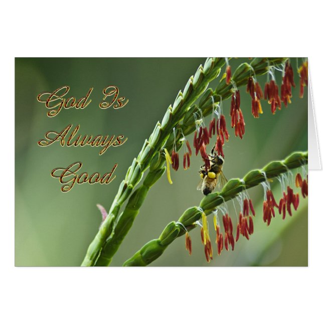 Dieu est une bonne abeille (Devant horizontal)