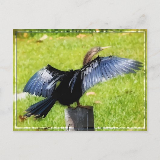 Diffuser votre carte postale Ailes (Devant)