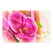 Diffuus Orchid Foto Afdruk (Voorkant)