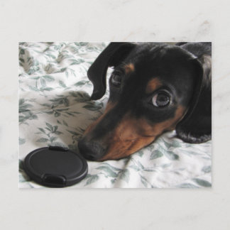 Digger Strike a Pose Briefkaart