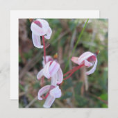 Digitaal Briefkaart (Voorkant / Achterkant)