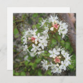 Digitaal Briefkaart (Voorkant / Achterkant)