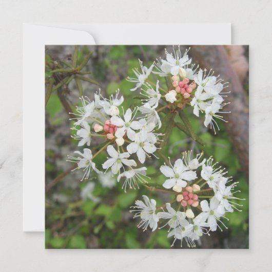 Digitaal Briefkaart (Voorkant)