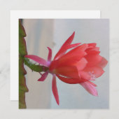 Digitaal Briefkaart (Voorkant / Achterkant)