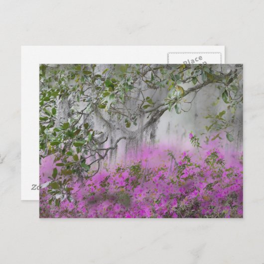 Digitaal composiet van Azaleas en magnolia-boom Briefkaart (Voorkant / Achterkant)