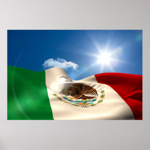 Digitaal gegenereerde rimpeling van de Mexicaanse  Poster