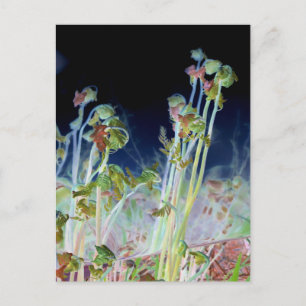 Digitaal gewijzigde Fiddlehead Ferns Briefkaart