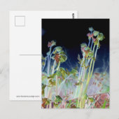 Digitaal gewijzigde Fiddlehead Ferns Briefkaart (Voorkant / Achterkant)