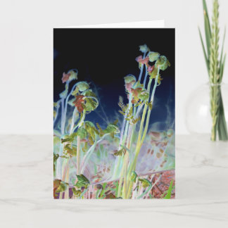 Digitaal gewijzigde Fiddlehead Ferns Kaart