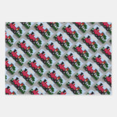 Digitaal kunstopvulpapier voor boottreinen inpakpapier vel (Voorkant 3)