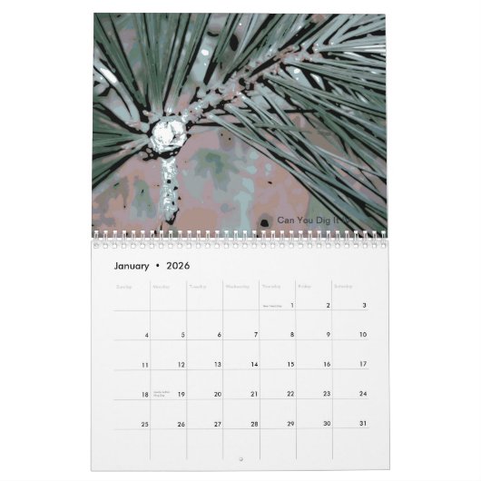 Digitaal landschap Natuur ventilatorkalender 2013 Kalender (Jan 2026)