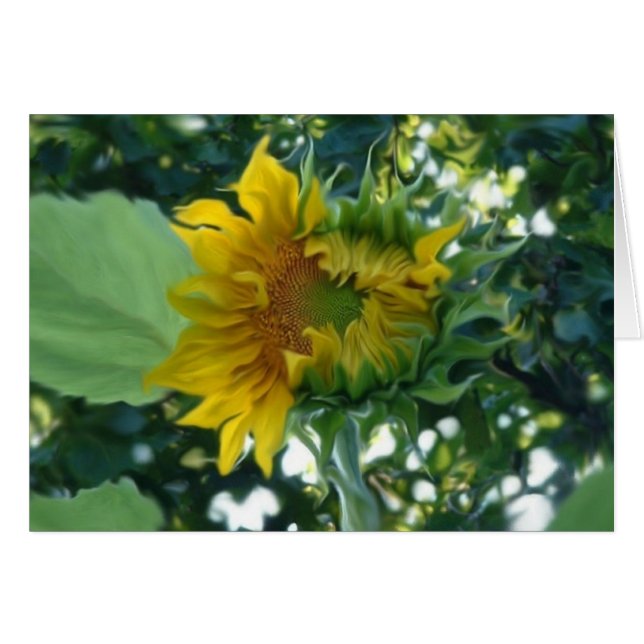 Digital Art Sunflower Opening in Light (Voorkant Horizontaal)