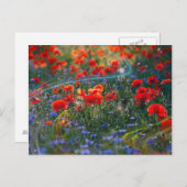 Digital artwork postcard briefkaart (Voorkant / Achterkant)