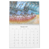 Digital Baroque 2020 calendrier fractal (Jan 2027)