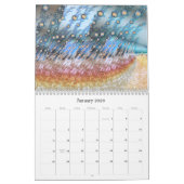 Digital Baroque 2020 calendrier fractal (Jan 2026)