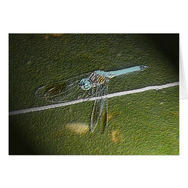 Digital Dragonfly-kaart (Voorkant Horizontaal)