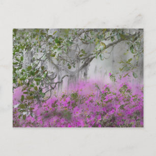 Digitale compositie van Azalea's en magnoliaboom Briefkaart