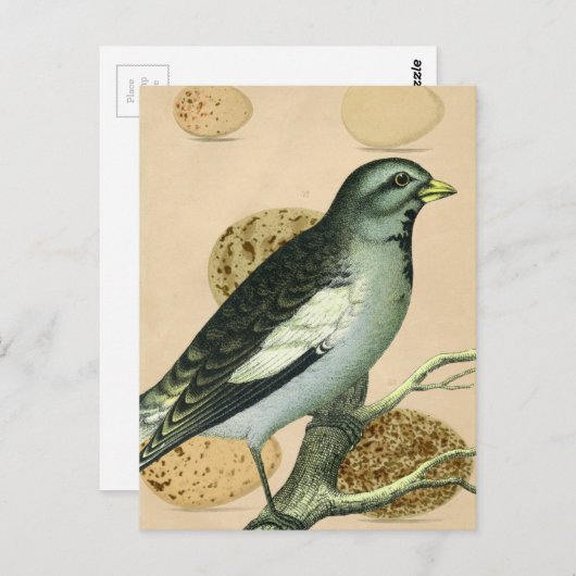 digitale kunst briefkaart (Voorkant / Achterkant)