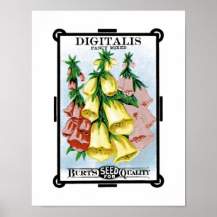 Digitalis Etiket verpakking voor zaaizaad Poster