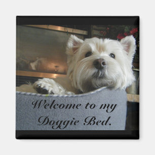 Dignified Westie Photo Magnet Magneet