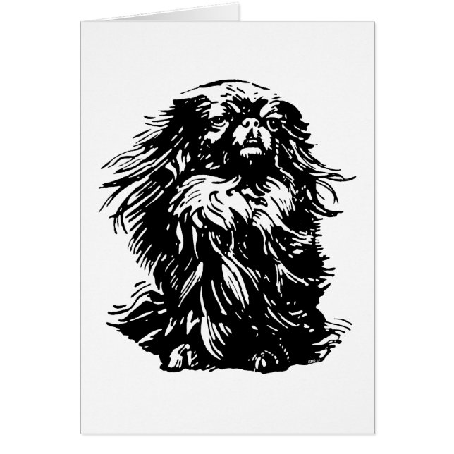 Dignity Pekingese (Voorkant)