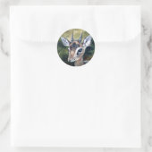 Dikdik Dwarf Antelope Sticker (Tas)