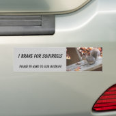 Dikeekhoornbumpersticker met "Summer" Bumpersticker (Op auto)