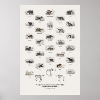 Dikhuidige Viervoeters - Naturalist's Library Poster