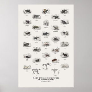 Dikhuidige Viervoeters - Naturalist's Library Poster