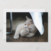 Dikkat Kaart (Achterkant)