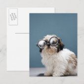 Dikke bril dragen briefkaart (Voorkant / Achterkant)