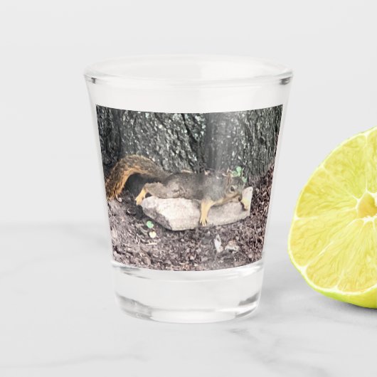 Dikke bril shot glas (Voorkant)